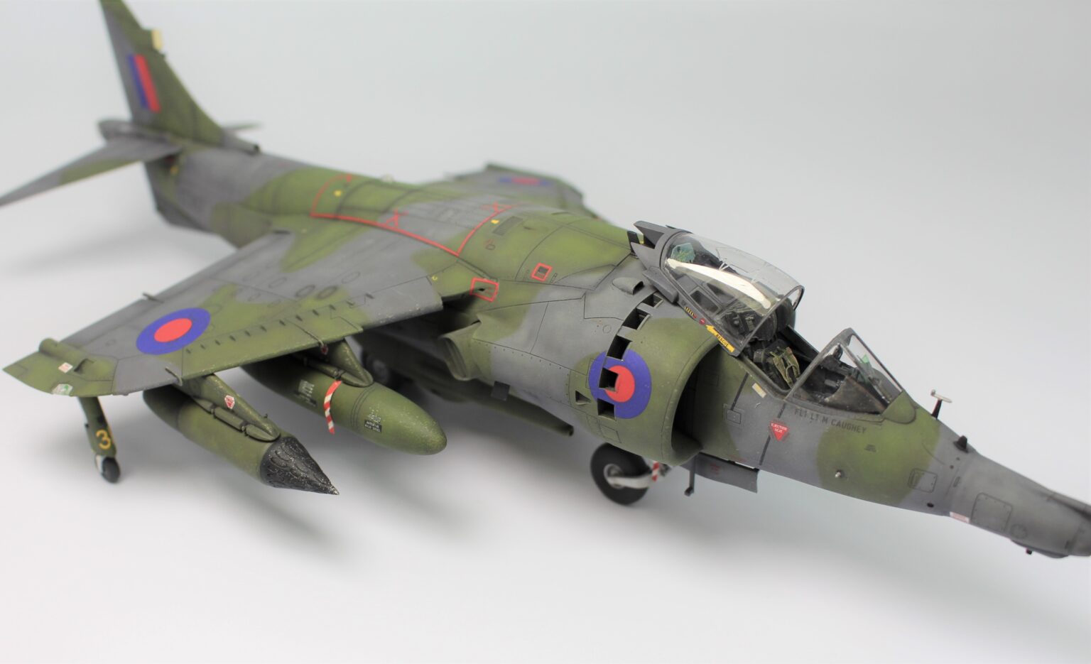 harriergr3 frp_0008